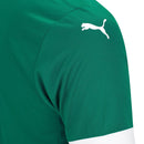 Camisa Palmeiras Home 25/26 - Torcedor