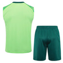 Conjunto Palmeiras Treino Regata 24/25