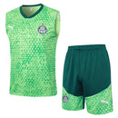 Conjunto Palmeiras Treino Regata 24/25