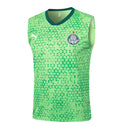Conjunto Palmeiras Treino Regata 24/25